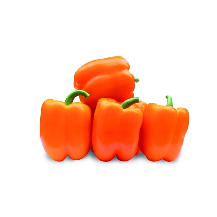 Clementine F1 500N